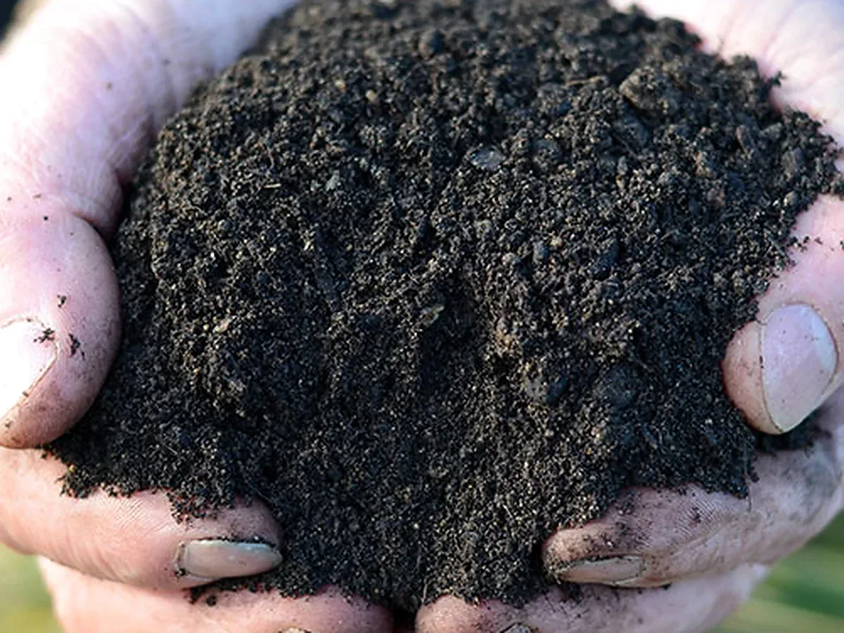 Peat Free Organic Compost