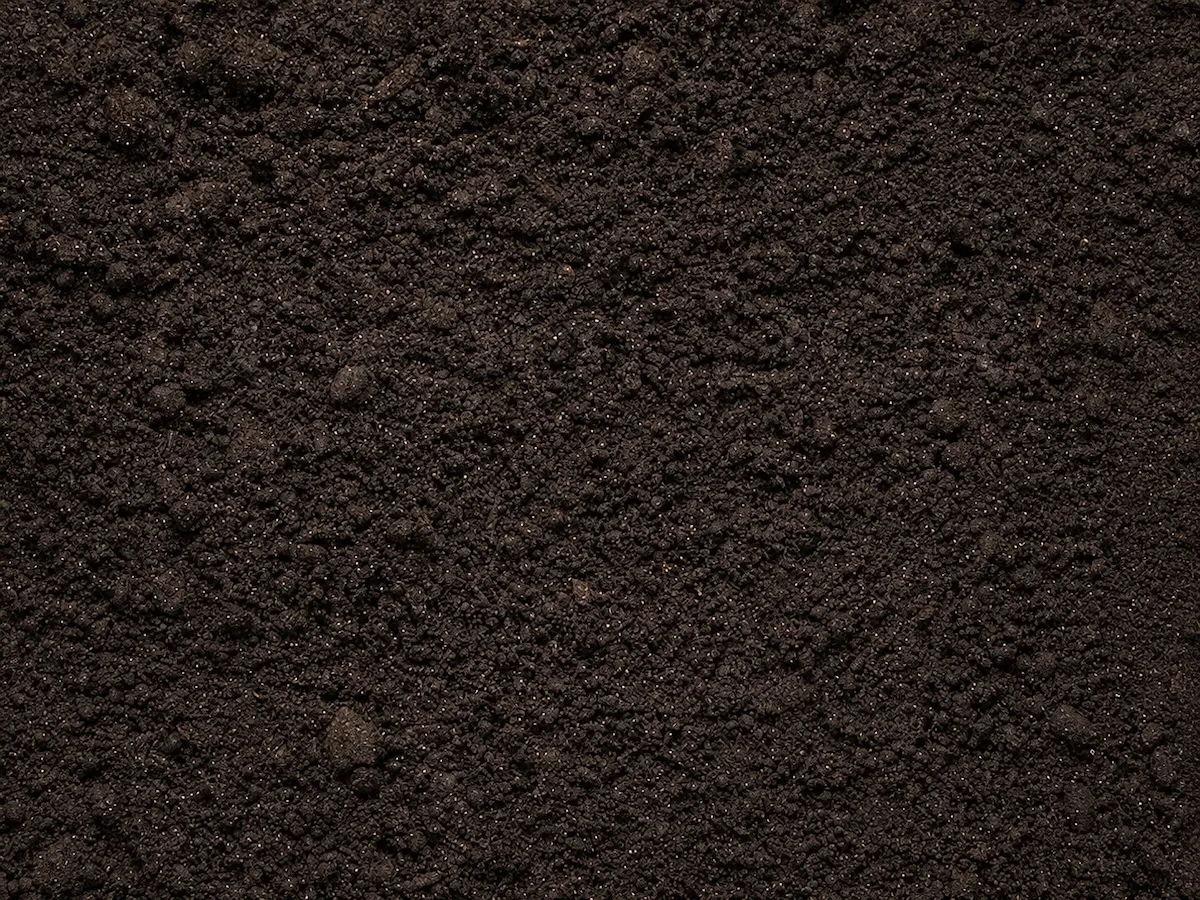 Virgin Top Soil