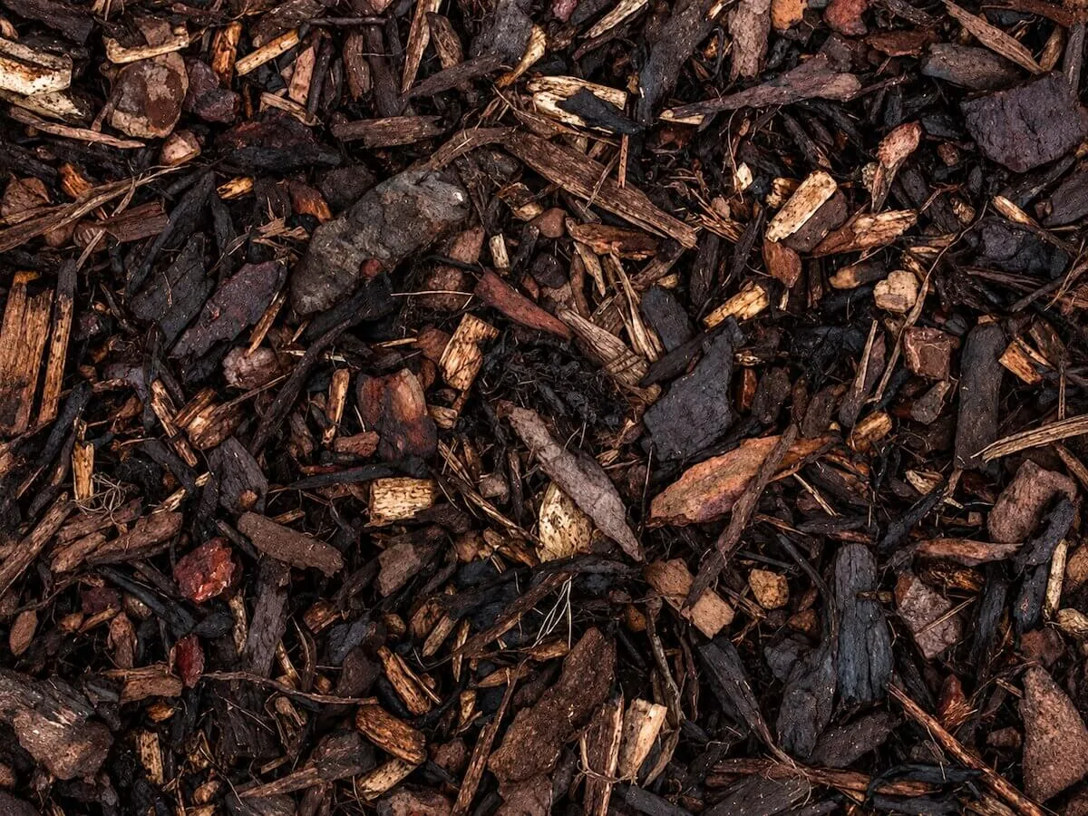 Decorative Wood Bark