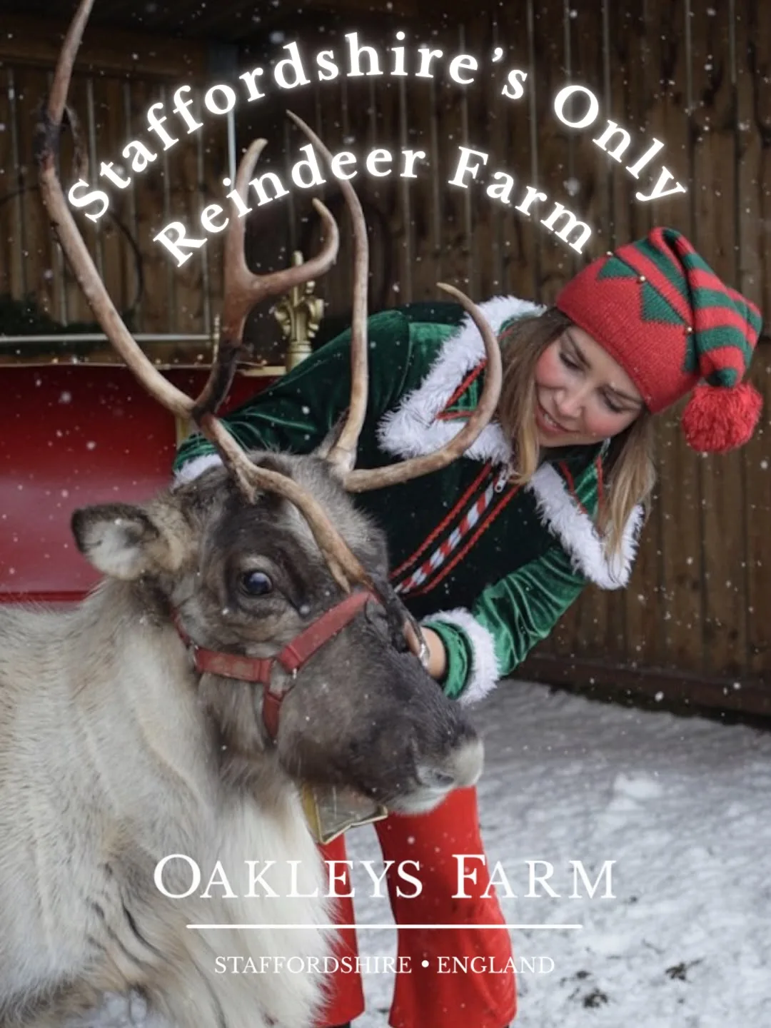 Christmas On The Reindeer Farm & Secret Elf Village - event photo