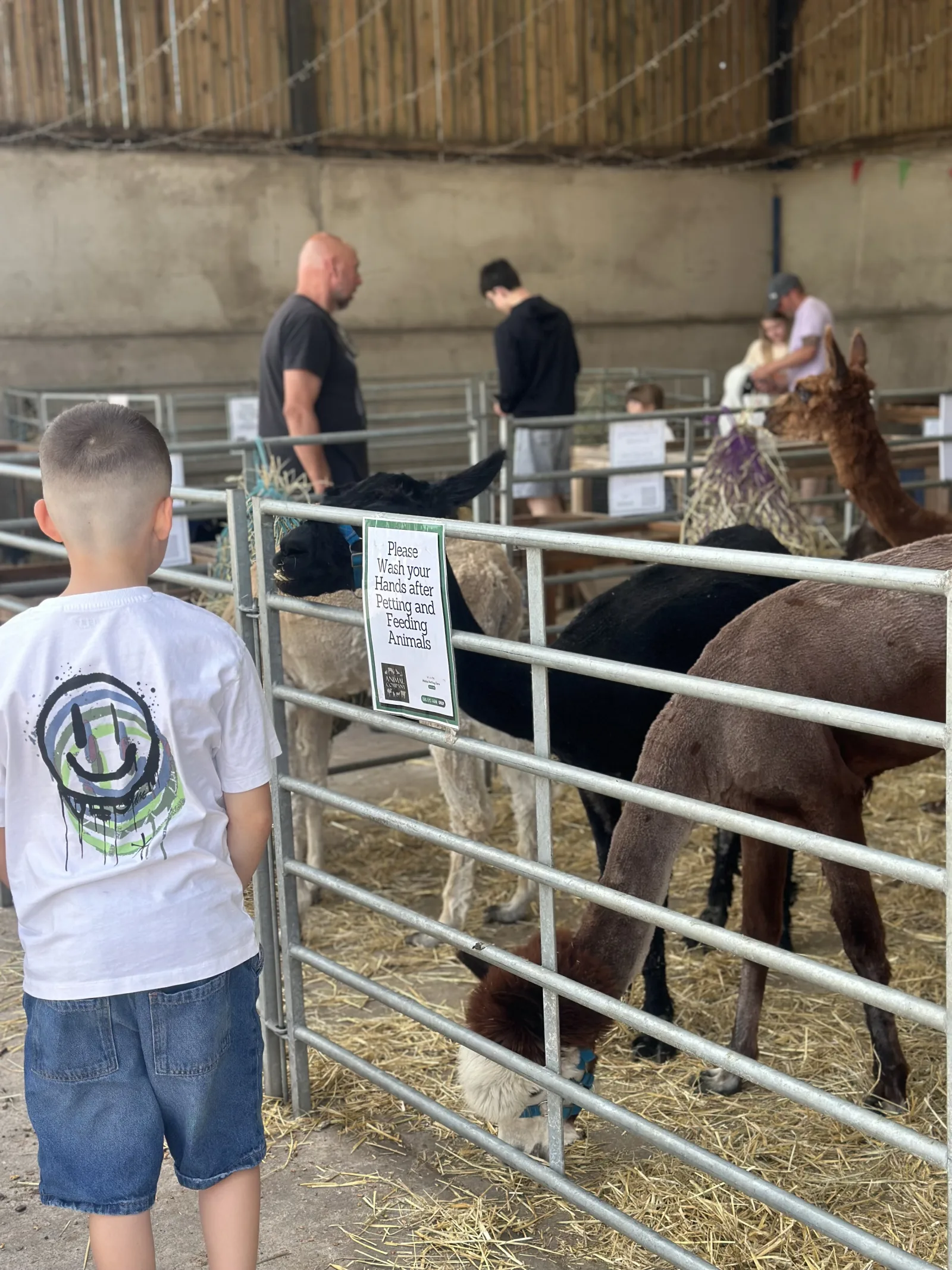 Buffalo Sunday - event photo
