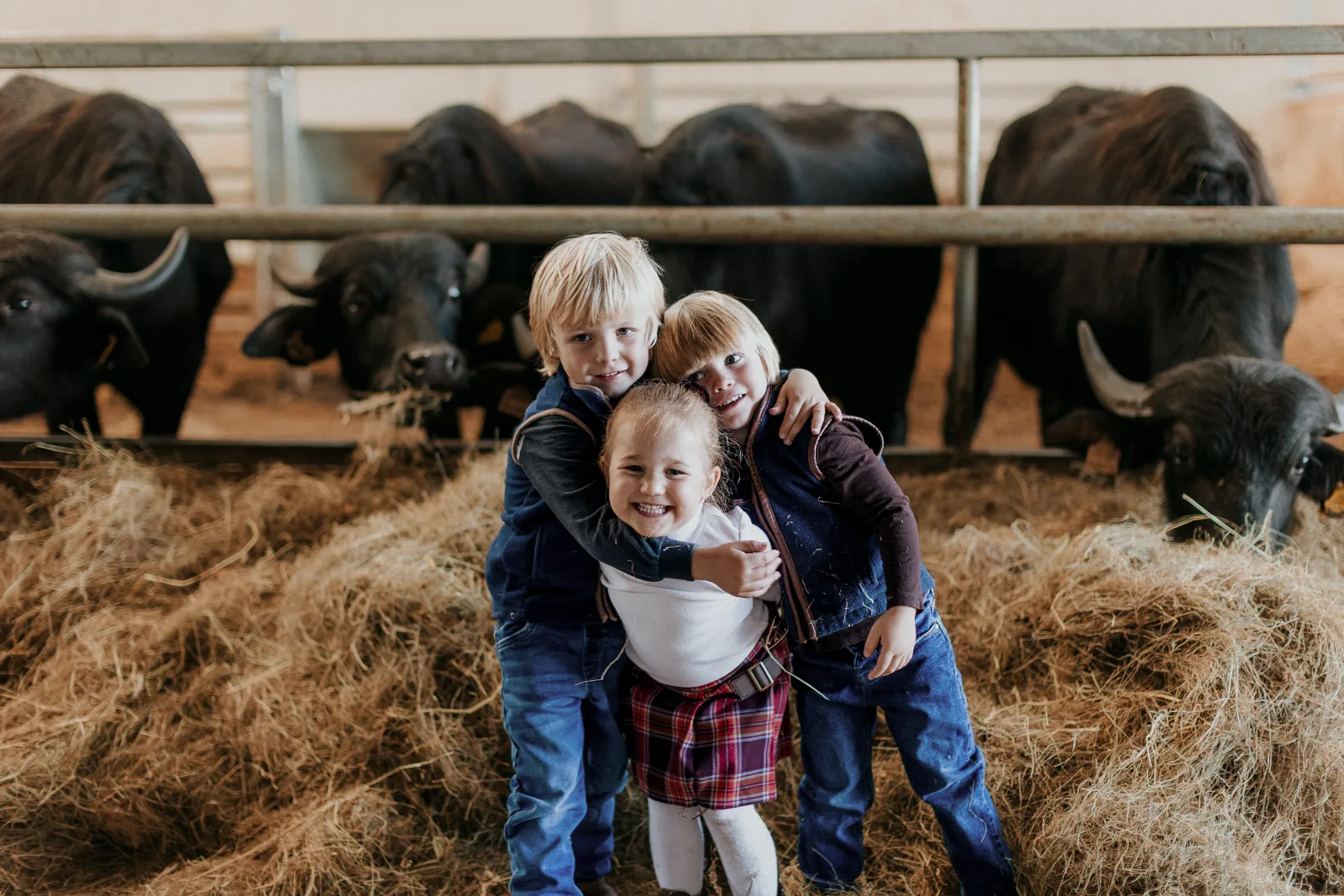 Family photo shoots on the farm - event photo