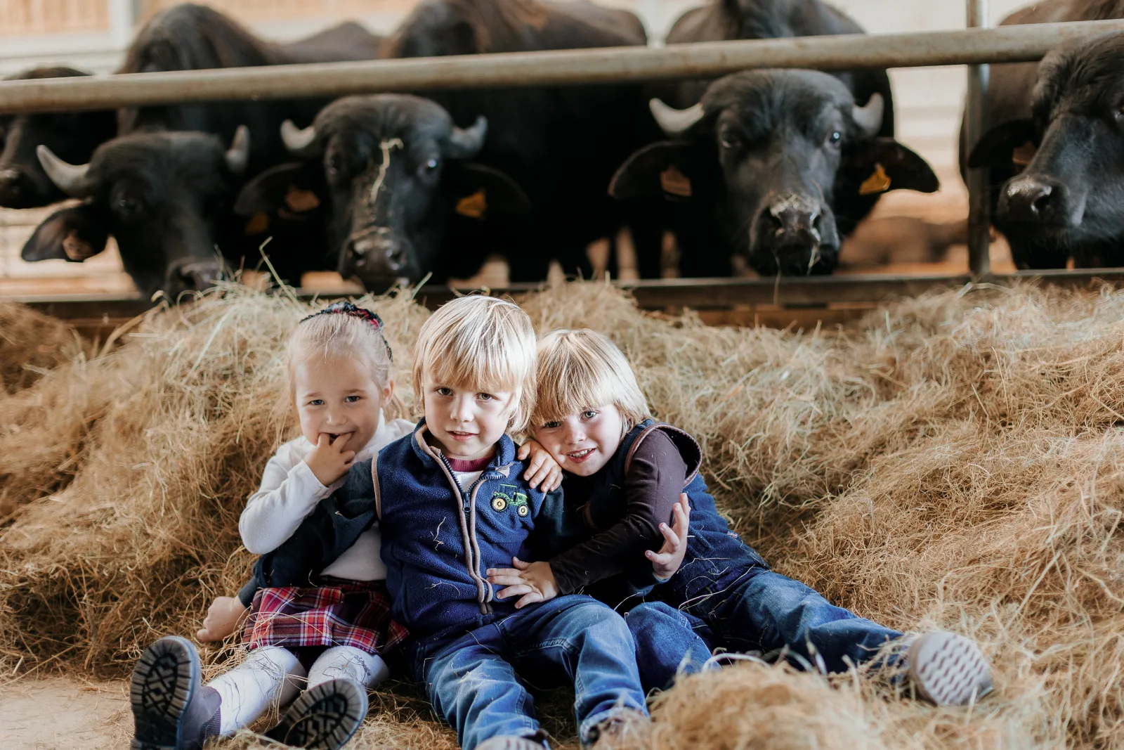 Family photo shoots on the farm - event photo